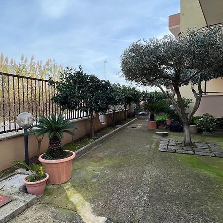 蒙德拉戈内Casa Sofia公寓 外观 照片